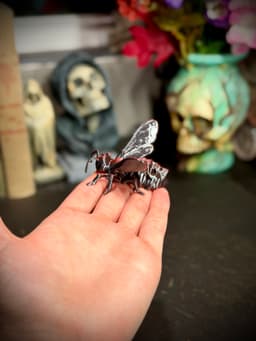 Skull bee spine hugger 3d model
