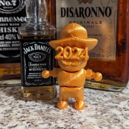 Flexi 2024 Party Boy 3d model