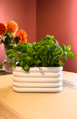 Aerodrain Planter 3d model