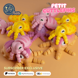 PETIT CUTTLEFISH 3d model