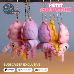 PETIT CUTTLEFISH 3d model