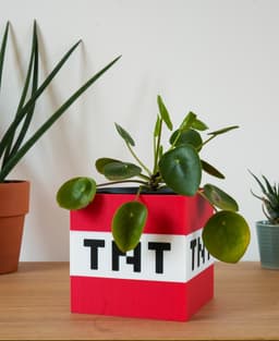 TNT Block Vase – Minecraft Edition 3d model