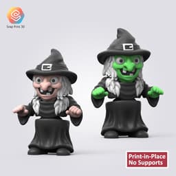 Flexi Witch 3d model