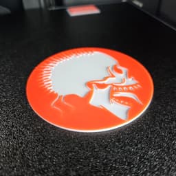 Crazy Skull Coaster Colored 3d model