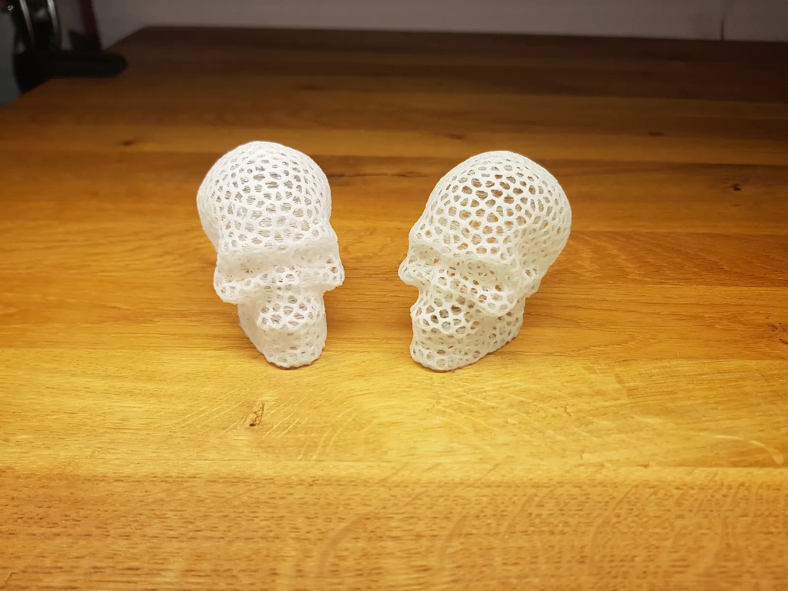 Voronoi Skull 3d model