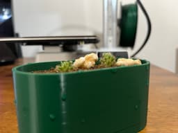 cactus pot 3d model