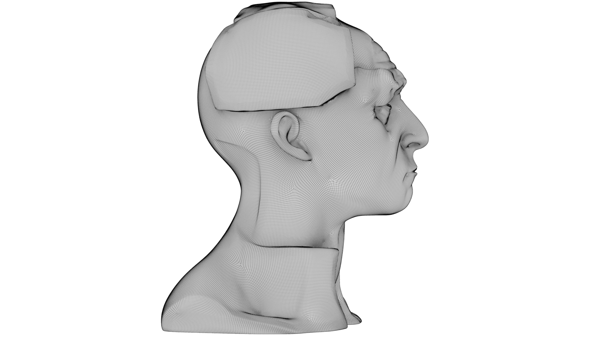 Kintsugi Portrait 3d model