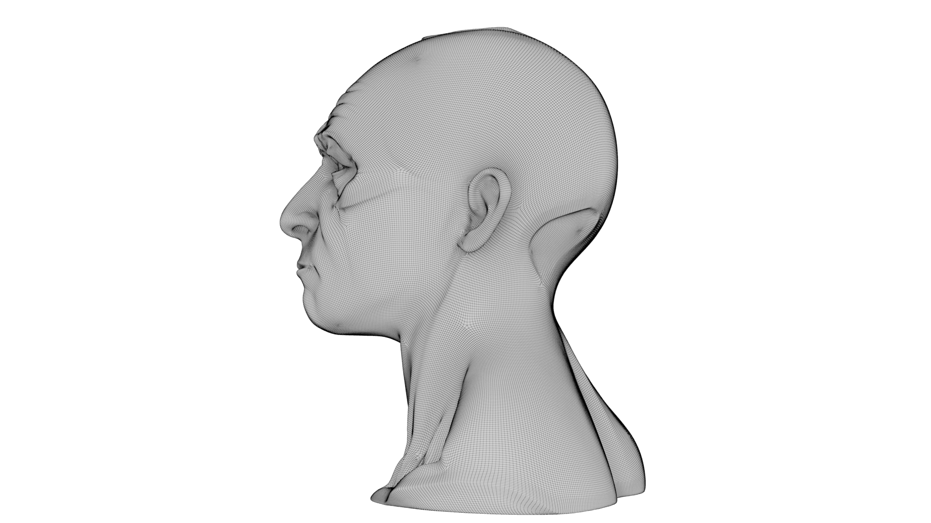 Kintsugi Portrait 3d model