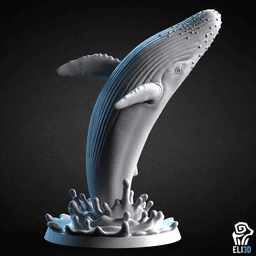 Animals - Ocean Wildlife 3d model