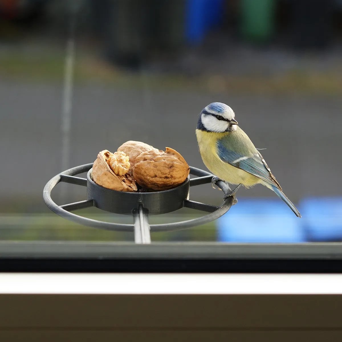 Window bird feeder 3d model
