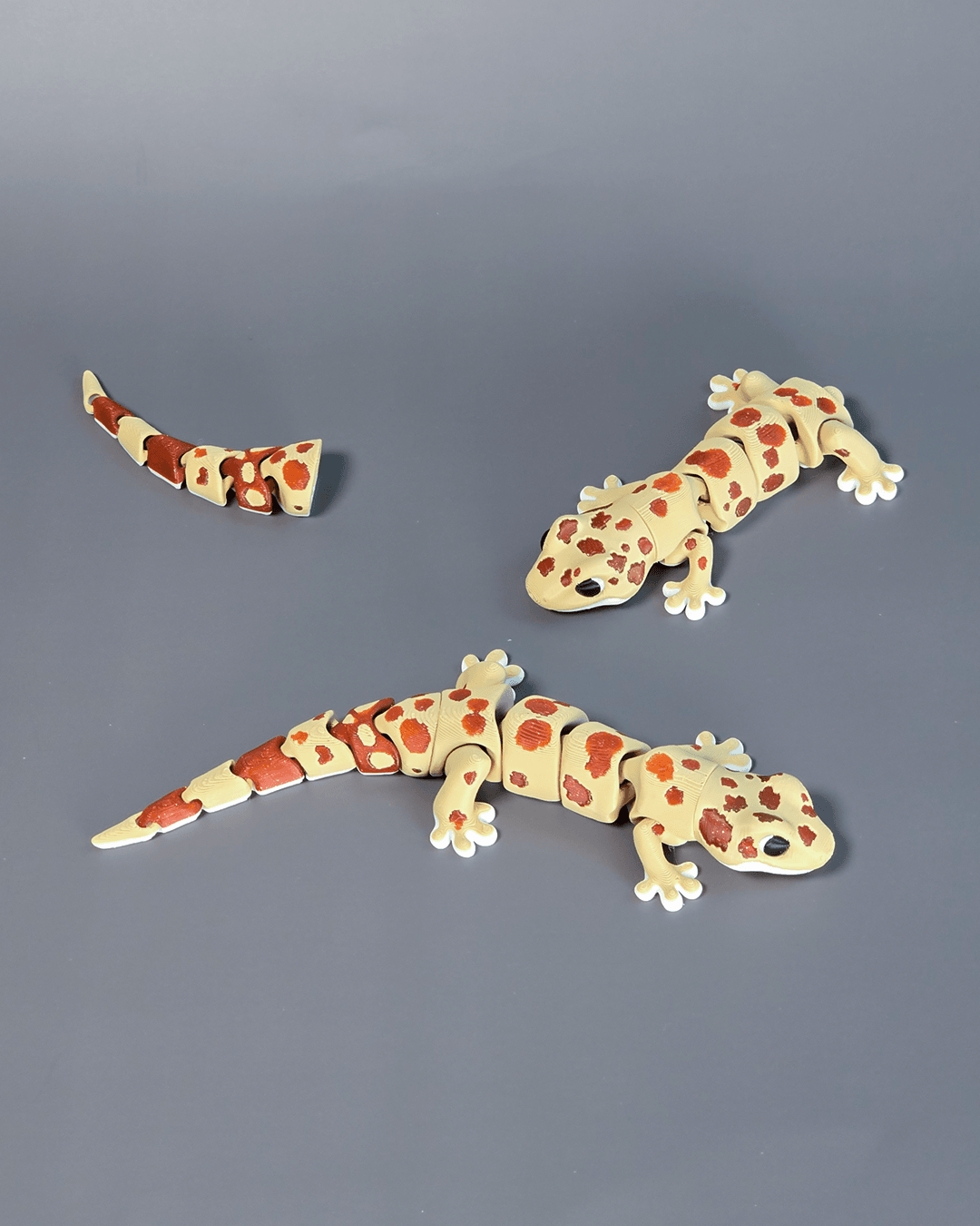 3DL Gecko 3d model