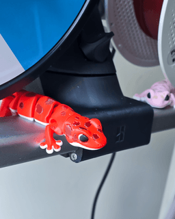 3DL Gecko 3d model