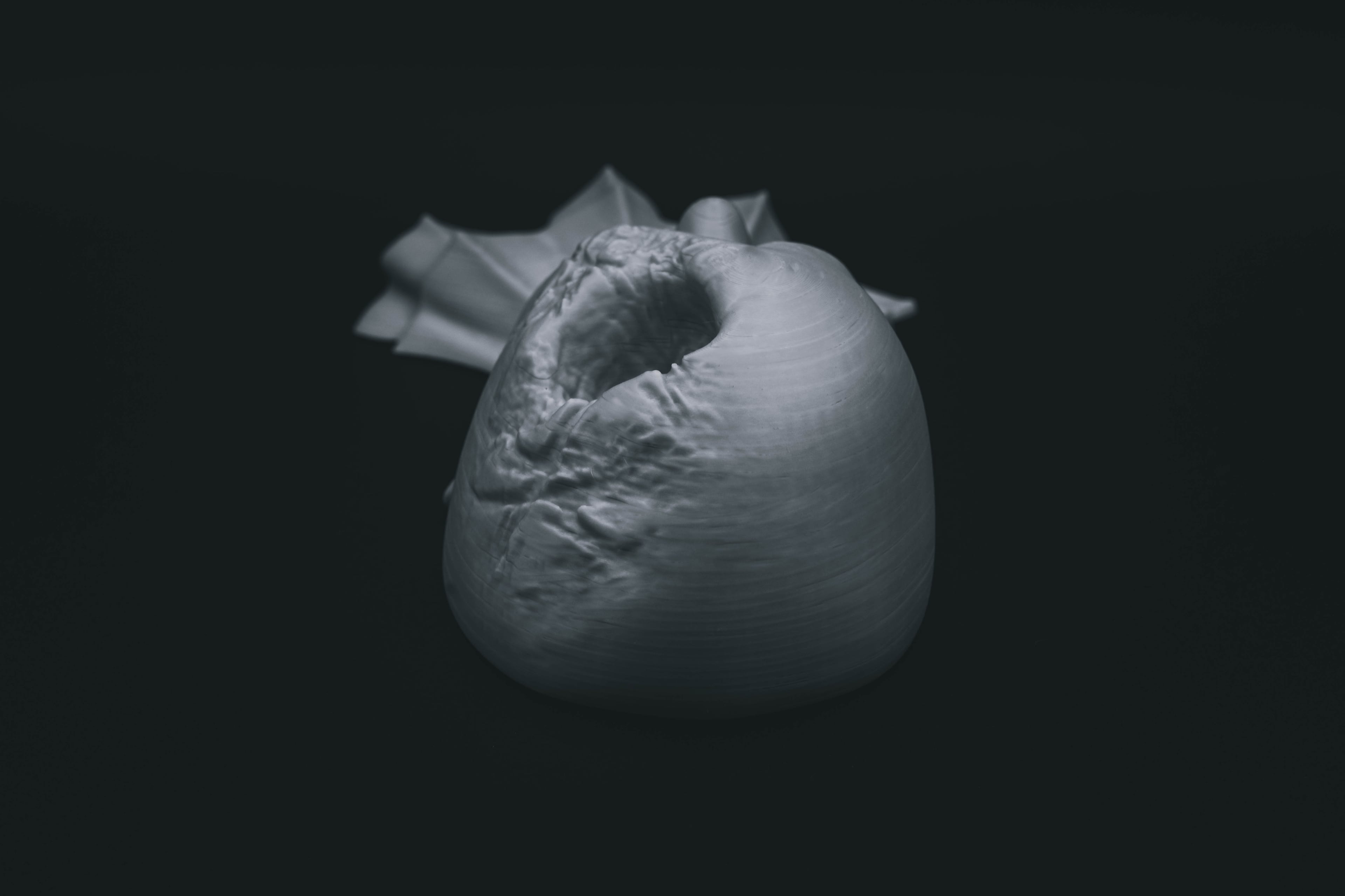 Spilt Modular (Pre Supported) 3d model