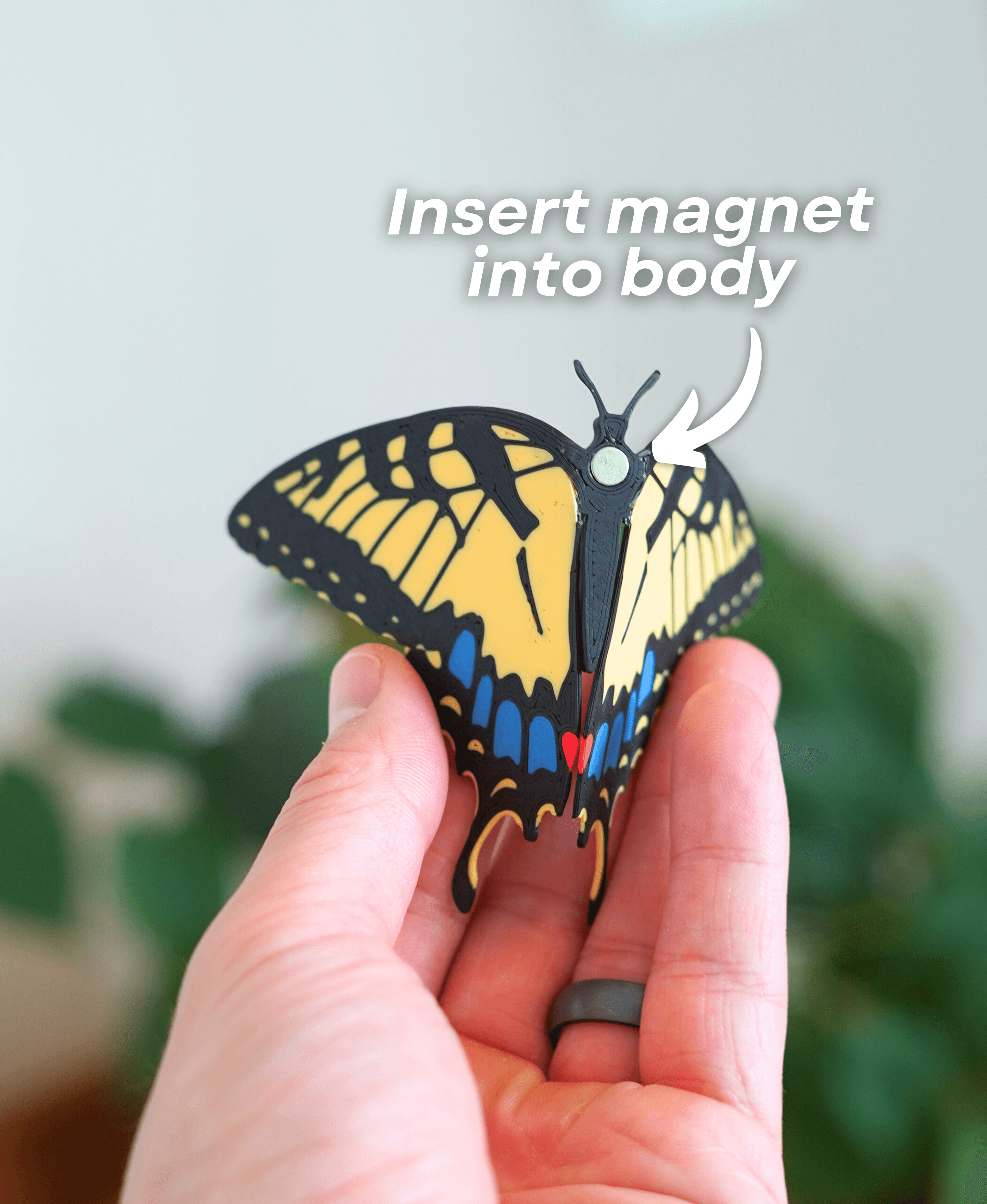 Butterfly Fridge Magnets 3d model