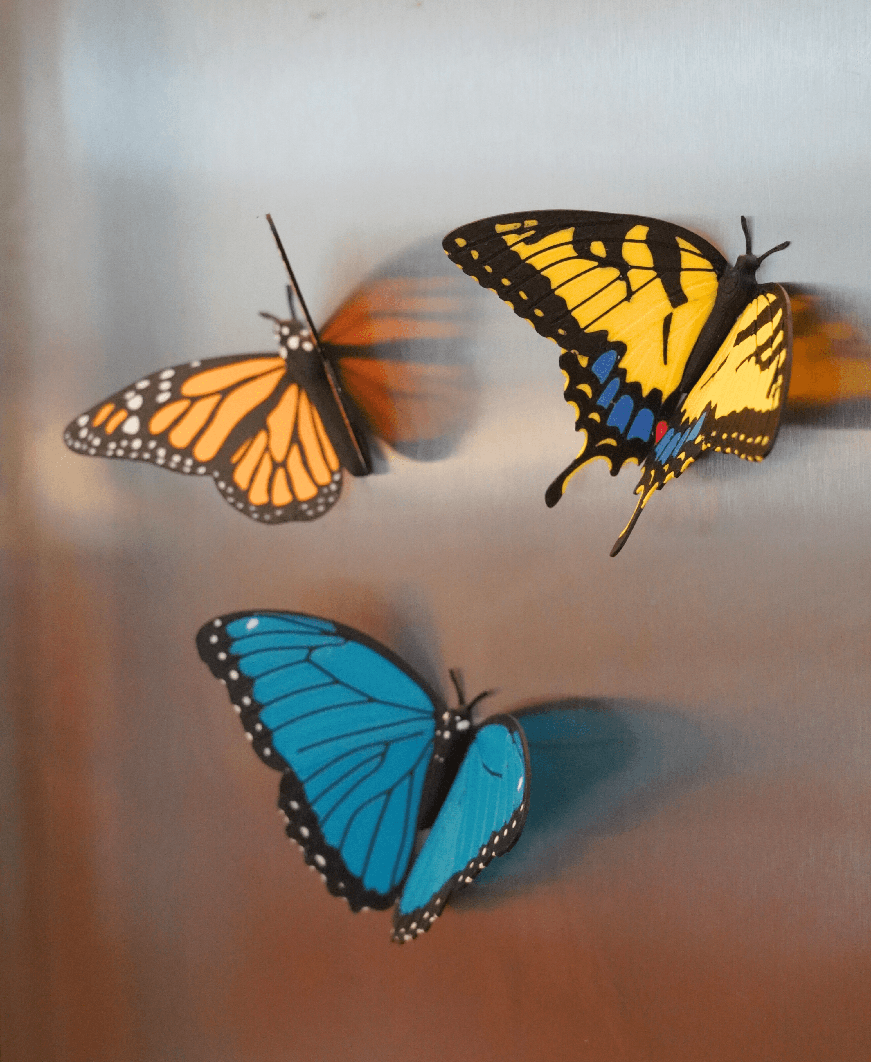 Butterfly Fridge Magnets 3d model