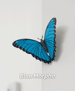 Butterfly Fridge Magnets 3d model