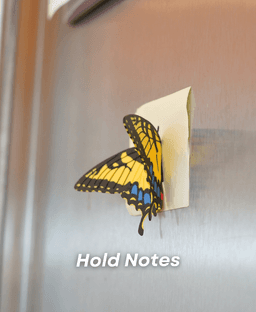 Butterfly Fridge Magnets 3d model