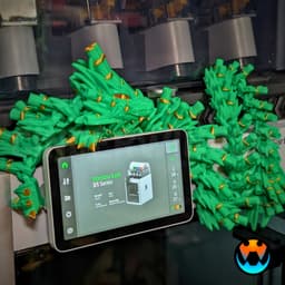 Bamboo Dragon Cinderwing3D X BambuLab 3d model