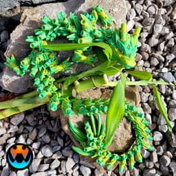 Bamboo Dragon Cinderwing3D X BambuLab 3d model