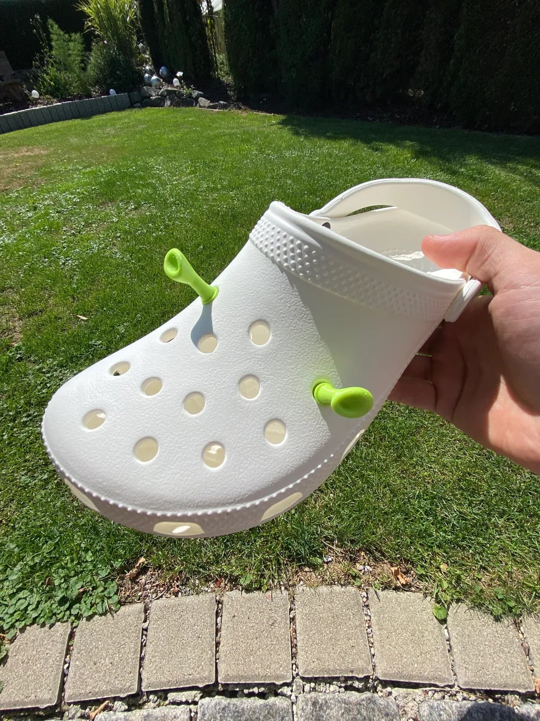 Ogre ear crocs 3d model