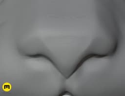 Cat head base 3d model