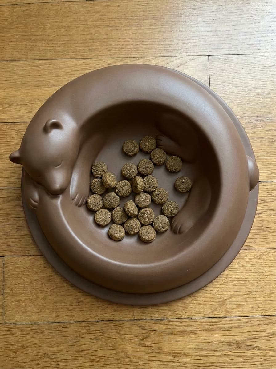 Cute Bear Pet Bowl | STL for 3D Printing 3d model