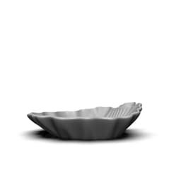 A different seashell 3d model