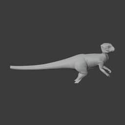 Homalocephale 3d model