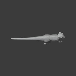 Homalocephale 3d model
