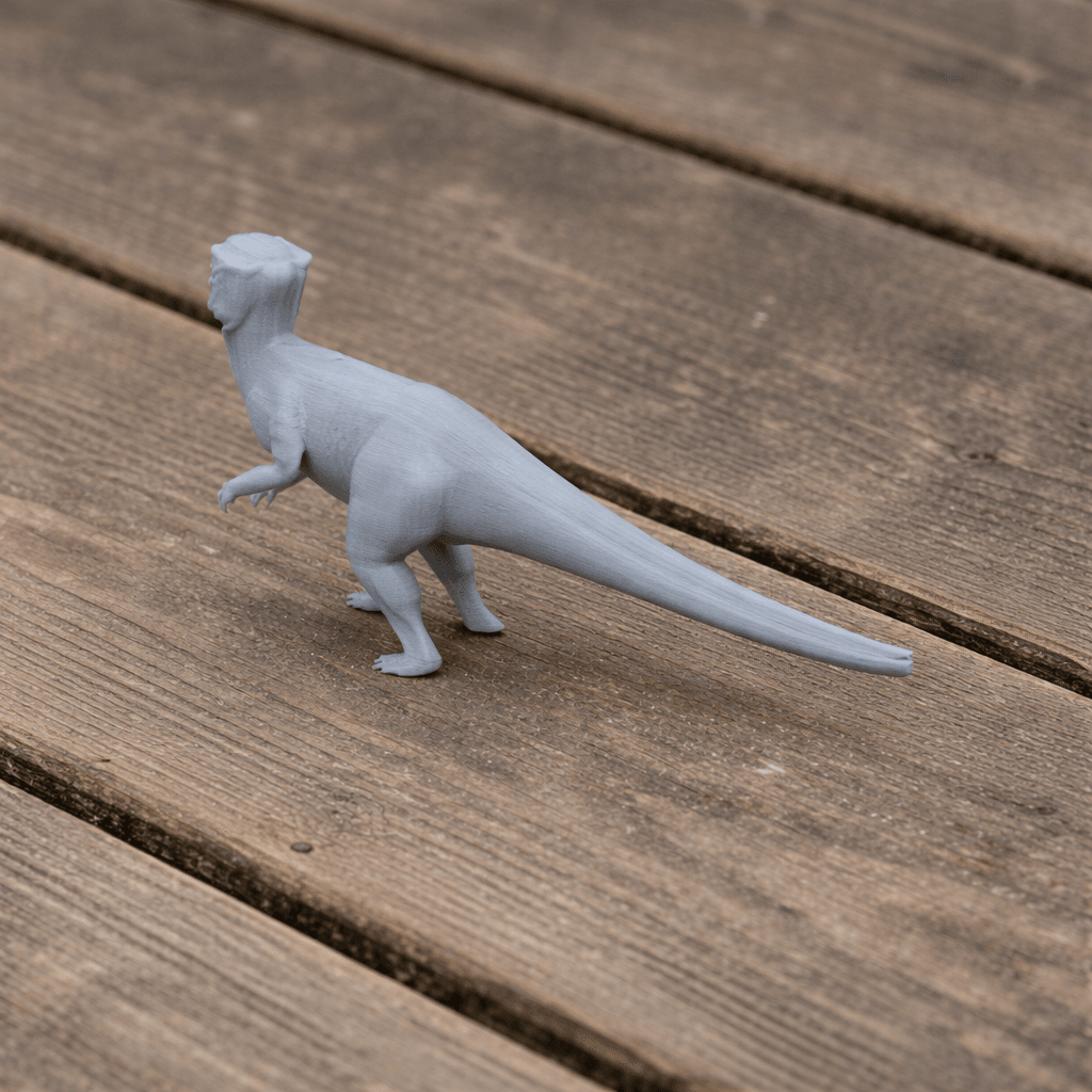 Homalocephale 3d model