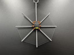 Spider Web Spiral 3d model