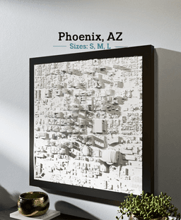 Phoenix, AZ - S, M, & L 3d model