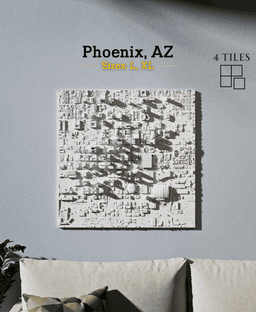 Phoenix, AZ - S, M, & L 3d model