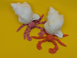 Articulated hermit crab 3d model