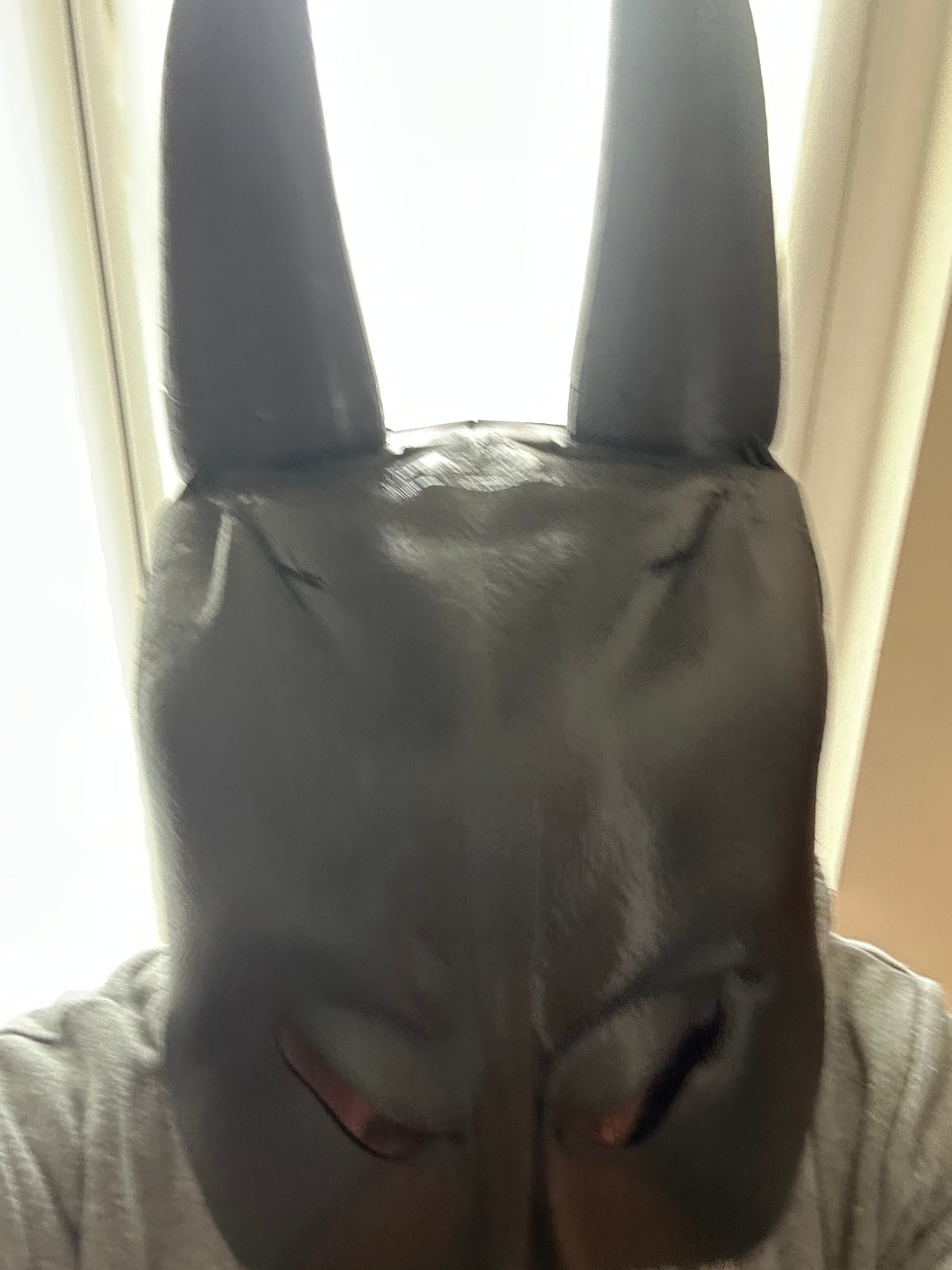 batman mask 3d model