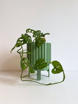 Plant Pot L: 3 Designs 3d model