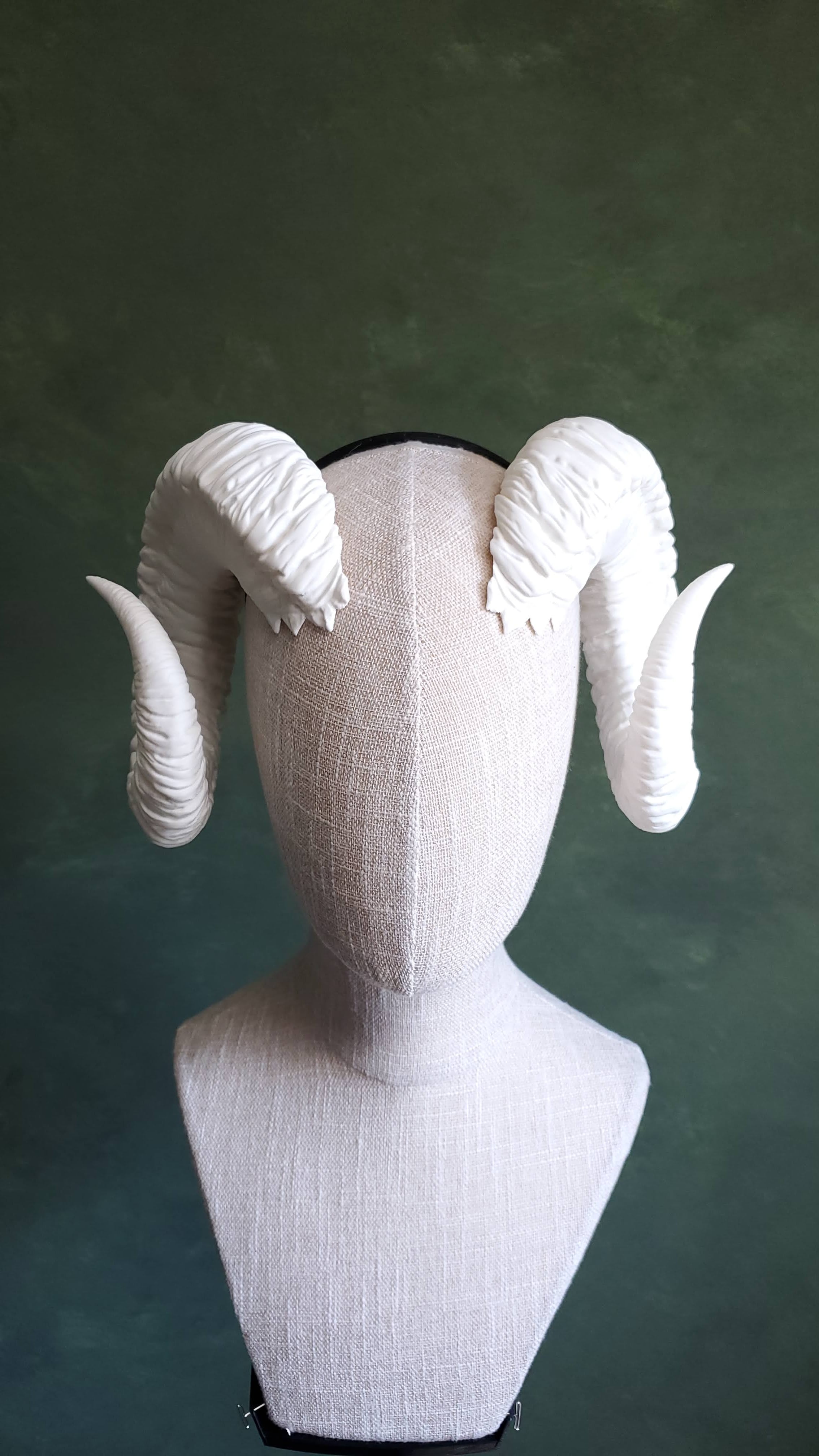 Llista | 3D Printed Curled Horns 3d model