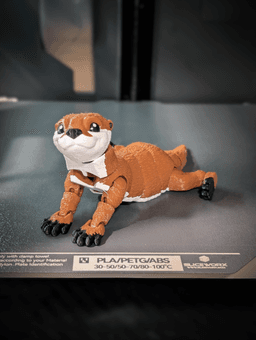 3d model