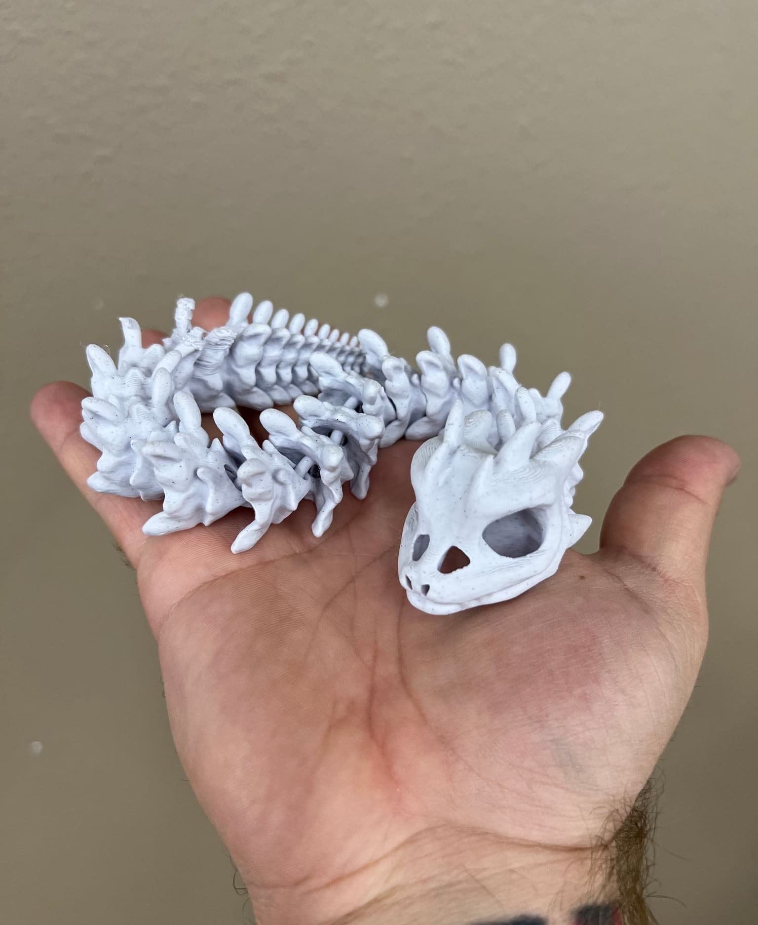Long Bony Basilisk - little bony boi - 3d model