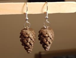 Pine Cone Earrings 3d model