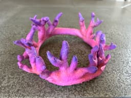 Coral crown 3d model