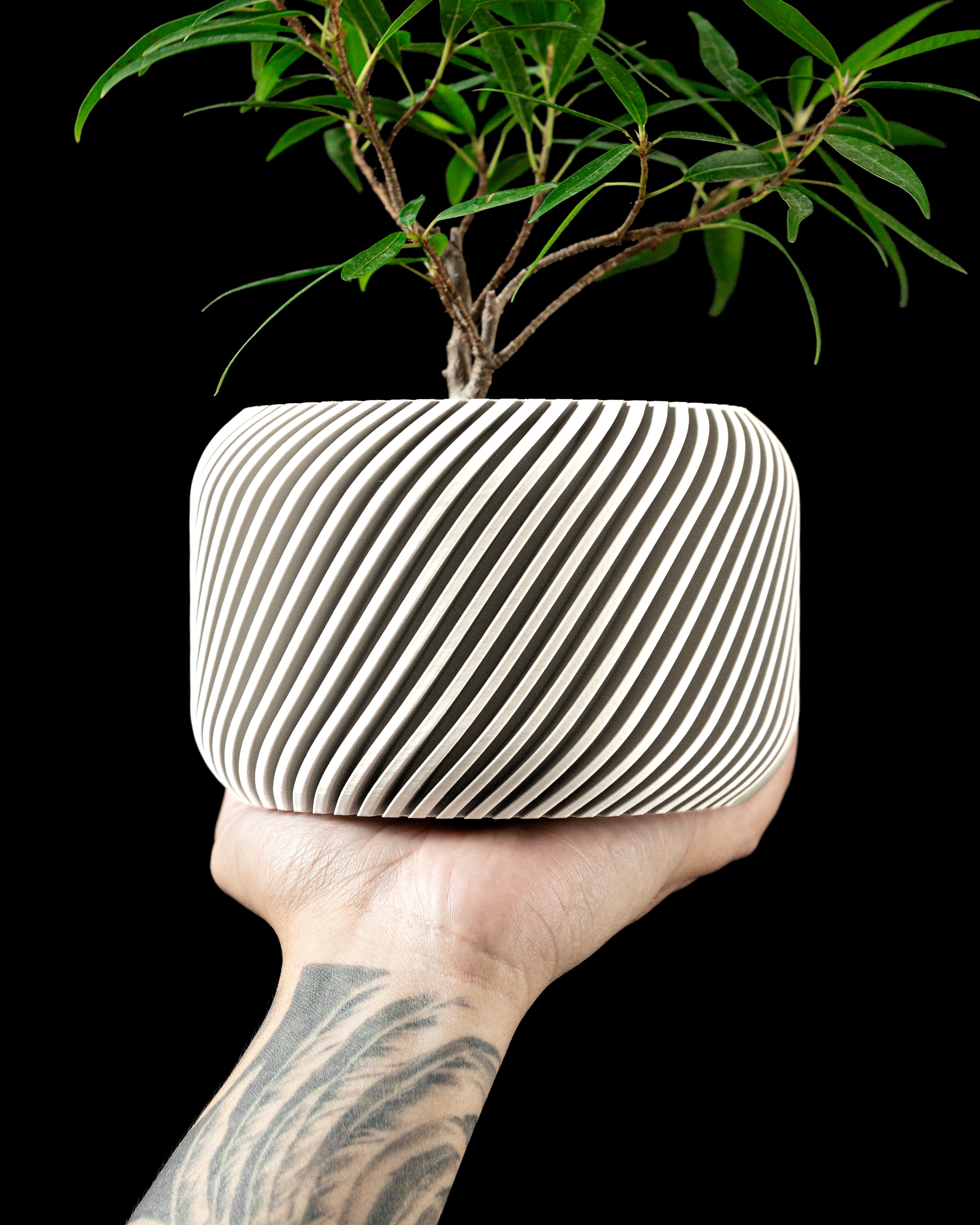 Slant Planter Pot by MODERN MACHINE 3d model
