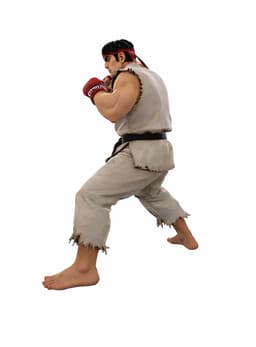 Realistic Martial Arts Fighter Character 3d model