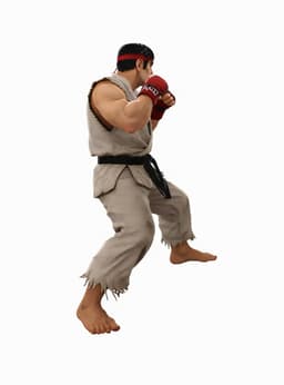 Realistic Martial Arts Fighter Character 3d model