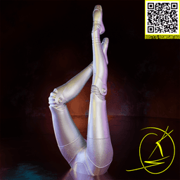 Beautiful Twin legs 3d model