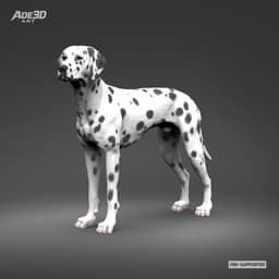 Dalmatian 3D Print Model Pose 02 3d model