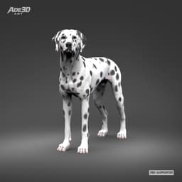 Dalmatian 3D Print Model Pose 02 3d model