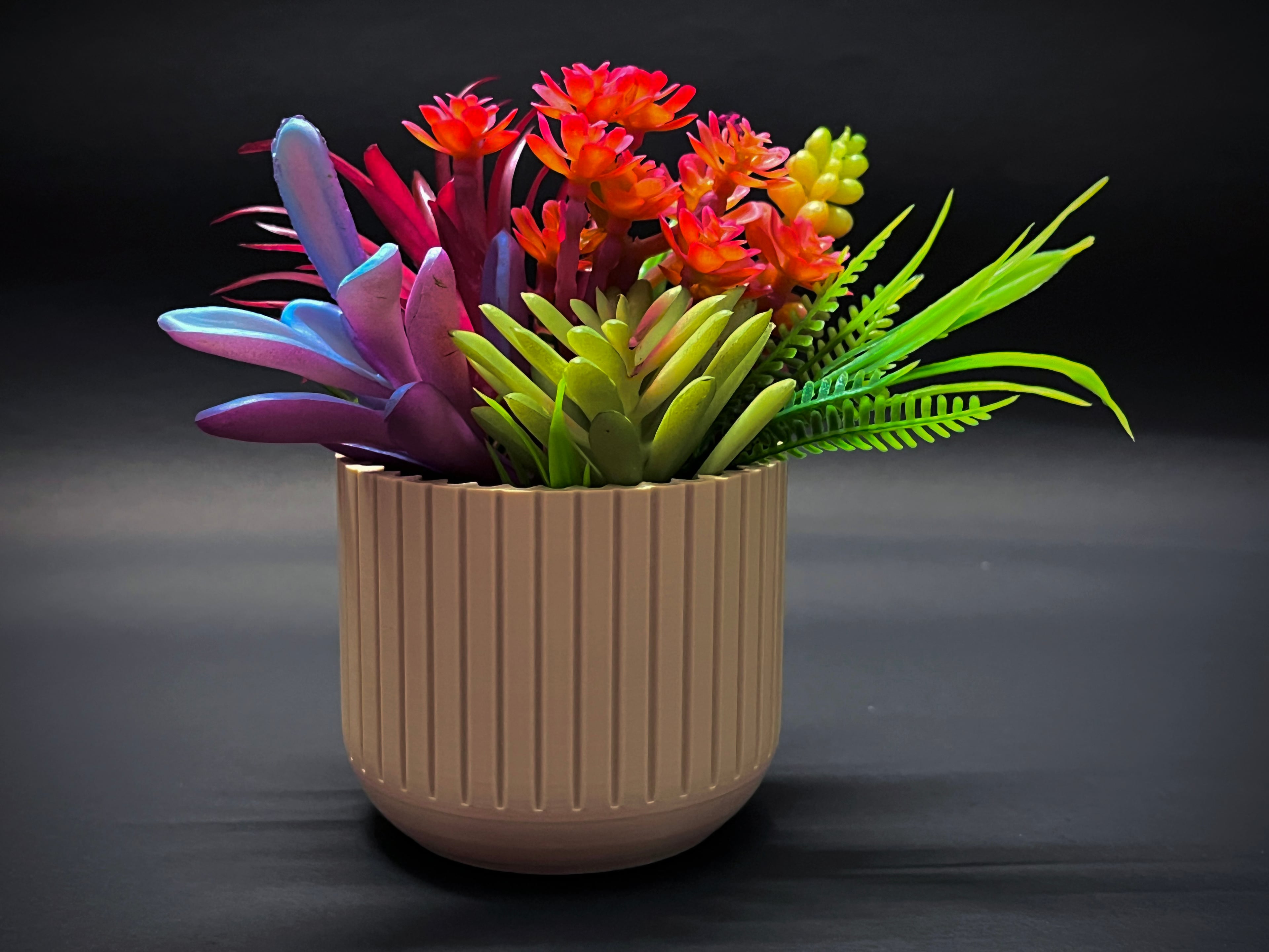 Vase for succulent 3d model