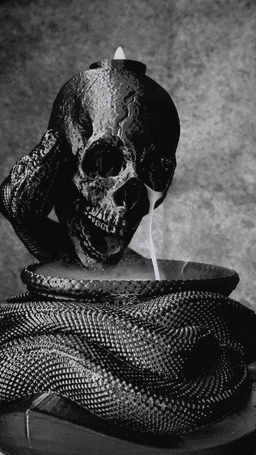 Snake and Skull Incense Burner 3d model