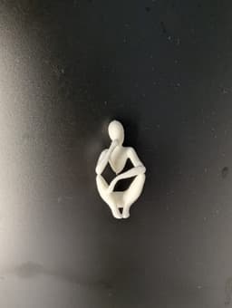 Nobody - Magnets: Thinker 3d model